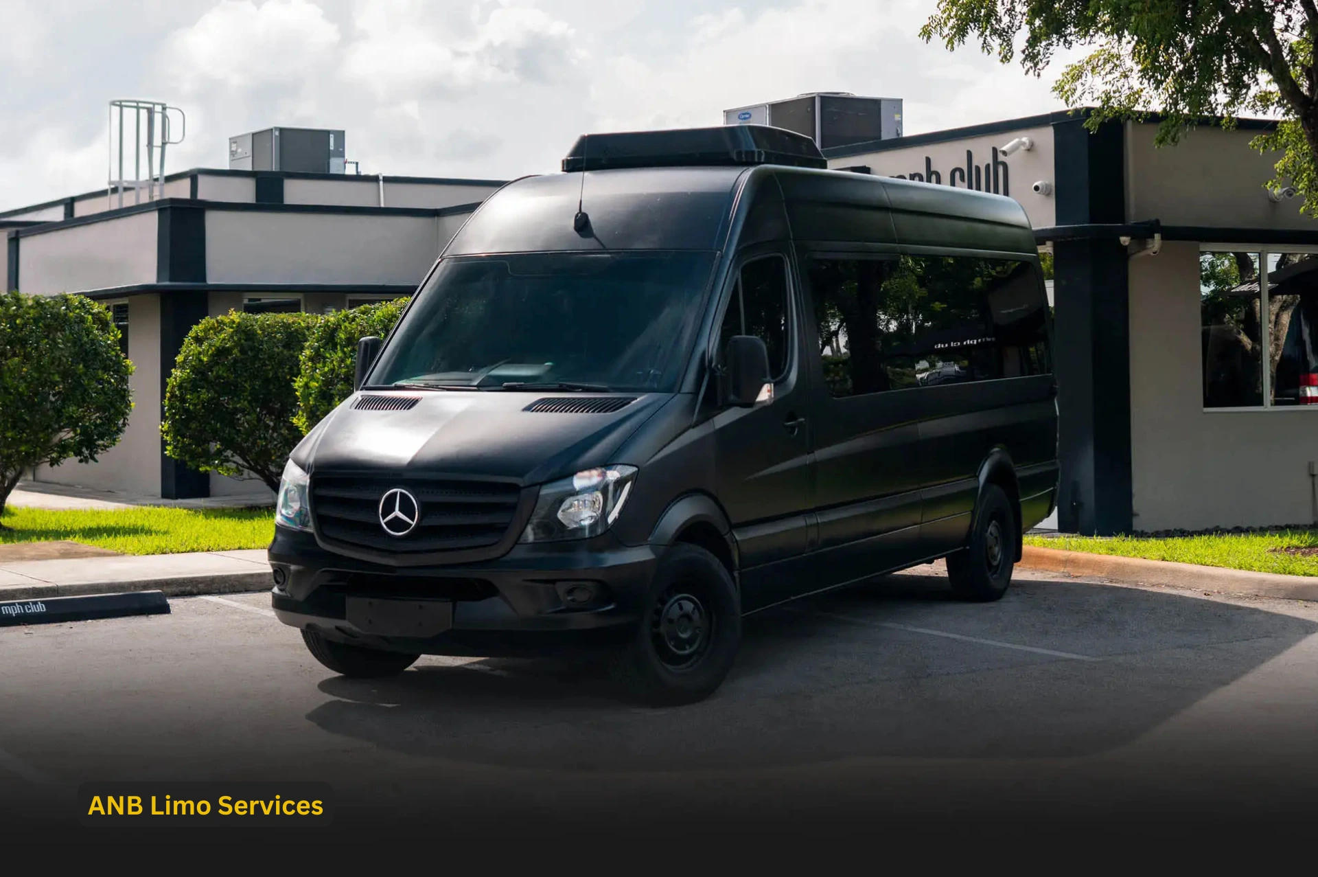 Mercedes Party Van