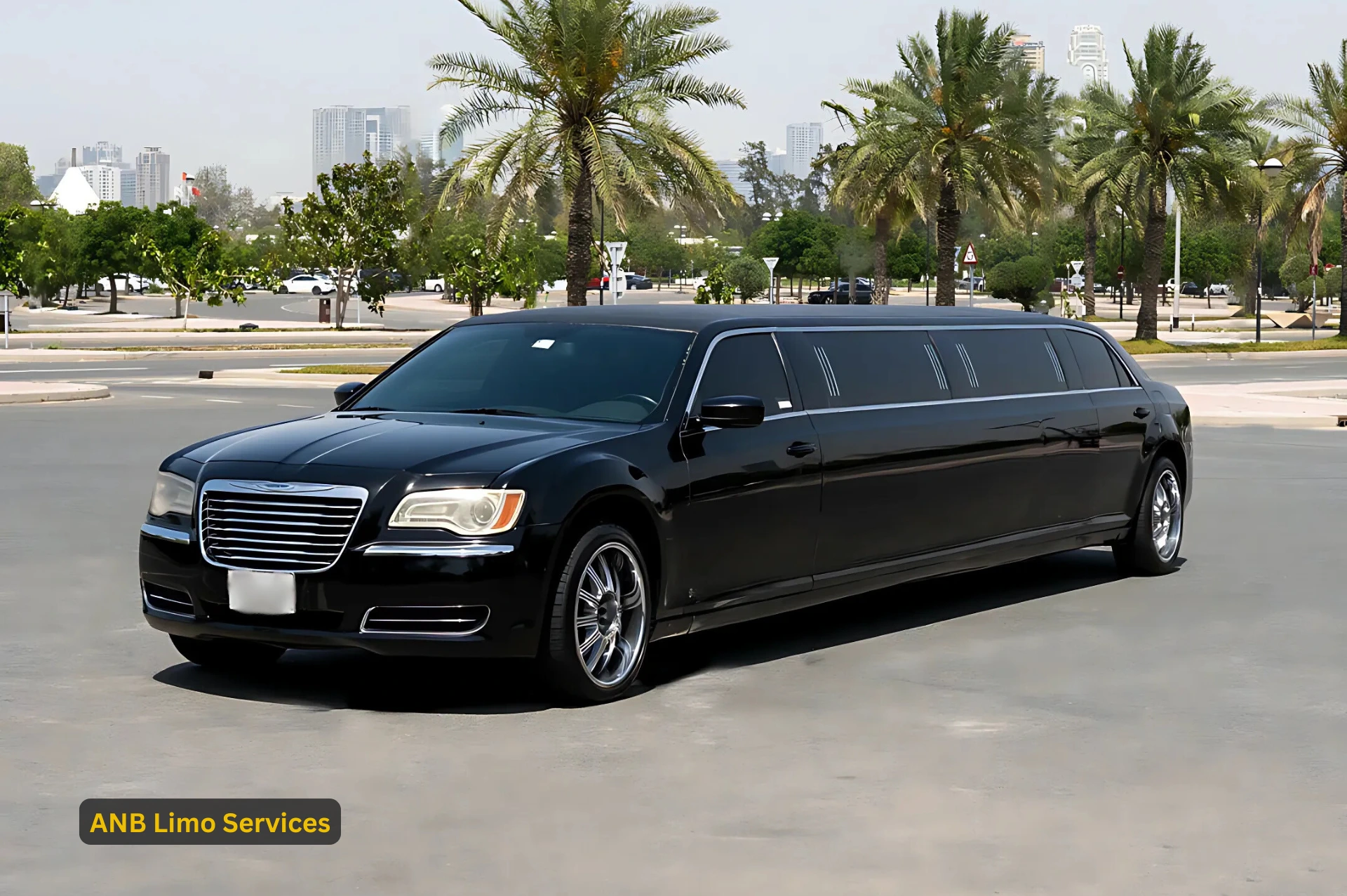 Stretch Limo