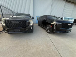 High-end limo car exterior daytime view